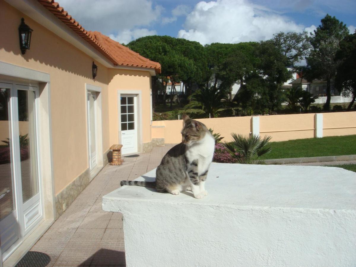 Alloggio in famiglia Casa De Flor Do Jardim