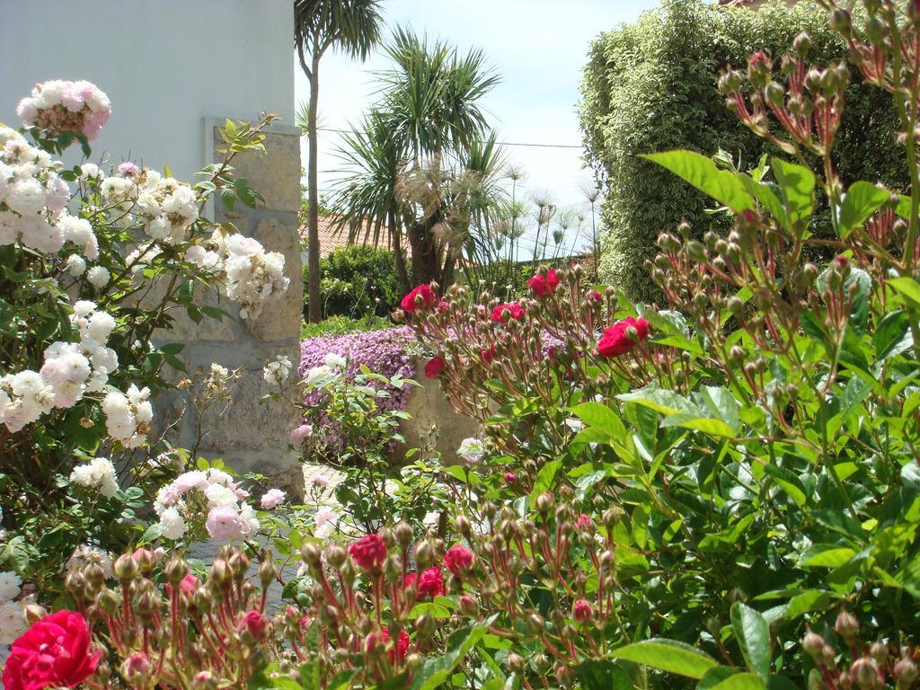 Casa De Flor Do Jardim Malveira