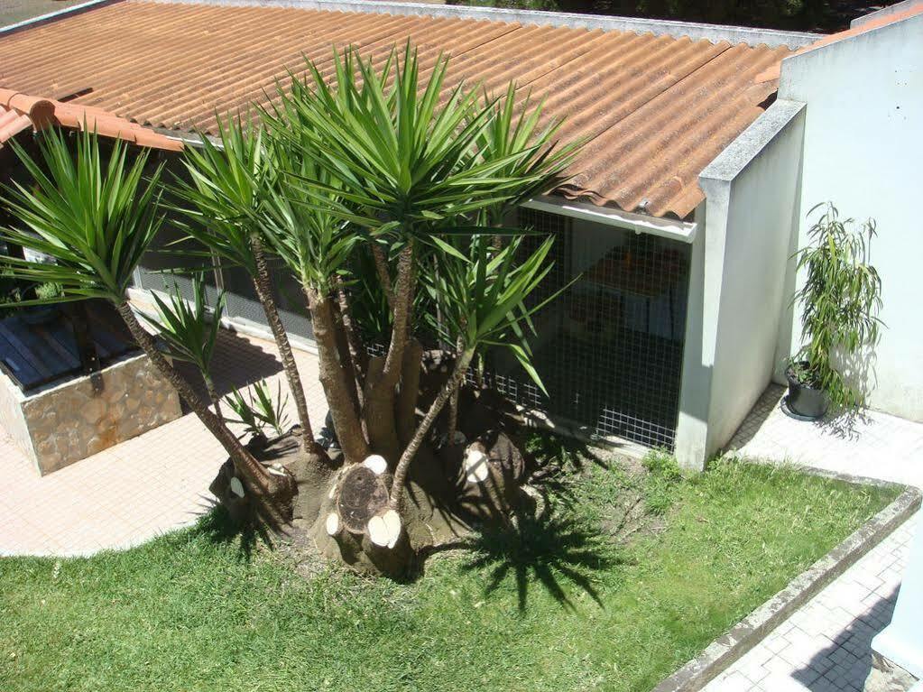 Homestay Casa De Flor Do Jardim Malveira